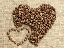 咖啡豆啡传统湿刨法处理法水洗日晒红蜜介绍