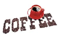 云南卡帝姆咖啡风味描述研磨刻度处理法品种庄园介绍