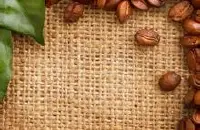 云南铁皮卡咖啡豆研磨刻度口感处理法风味描述庄园介绍