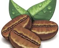 巴西米纳斯咖啡豆风味描述口感产地区处理法庄园介绍