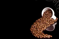 滇企将在老挝建亚洲最大咖啡基地