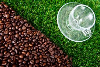 咖啡产地分布图五大生产国种植产区环境风味描述介绍