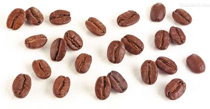 阿拉比卡咖啡豆家族介绍价格产地特点