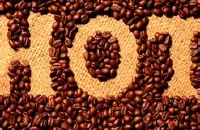 日晒耶加雪菲沃卡咖啡豆的研磨刻度风味描述口感介绍