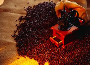 香而不烈的云南小粒咖啡花果山风味描述研磨刻度品种产地区介绍