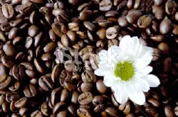 哥伦比亚娜玲珑咖啡豆的研磨刻度口感处理法品种介绍