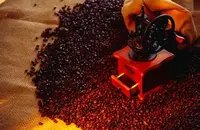 萨尔瓦多帕卡马拉咖啡豆研磨刻度庄园风味描述口感介绍