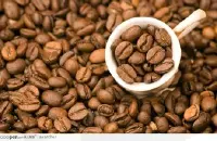 翡翠庄园瑰夏咖啡价格风味描述口感产地区品种介绍