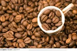 厄尔尼诺或使印尼咖啡业遭受5年来最严重打击