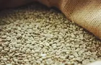 乞力马扎罗莫希区咖啡豆风味描述研磨刻度品种口感处理法介绍