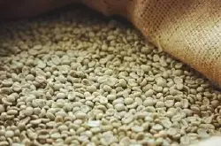 乞力马扎罗莫希区咖啡豆风味描述研磨刻度品种口感处理法介绍