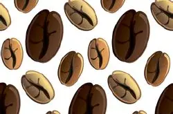 云南铁皮卡咖啡豆的研磨刻度品种产地区风味描述介绍