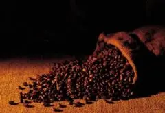 咖啡豆水洗法的图步骤口感风味描述产地区品种特点介绍