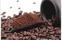 哥斯达黎加火凤凰庄园咖啡豆的风味描述研磨刻度品种介绍