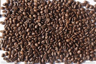 爪哇咖啡豆的风味描述口感品种产地区处理法庄园介绍