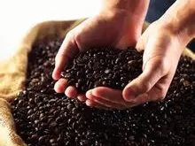现磨咖啡机磨豆一般刻度调到几-德龙咖啡机研磨器堵塞