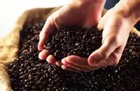 口味均衡的萨尔瓦多喜马拉雅咖啡豆研磨刻度产地区介绍