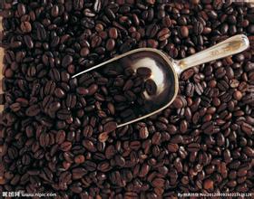 乞力马扎罗咖啡豆的烘焙程度要诀风味描述口感产地区介绍