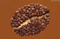 苏门答腊咖啡风味描述口感品种特点产地区处理法介绍