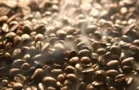 哥斯达黎加塔拉珠咖啡豆的研磨刻度品种处理法产地区庄园介绍