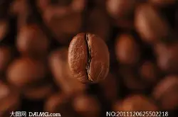 中国的猫屎咖啡豆年产量是多少-曼特宁猫屎咖啡多少钱