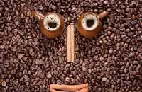 波多黎各咖啡的处理法口感研磨刻度品种产地区特点