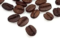 制作咖啡的过程从咖啡树到压榨-咖啡树生长过程