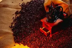 耶加雪菲科契尔咖啡豆收获期水洗风味描述研磨刻度口感处理法