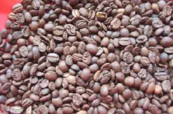 对气候环境的要求更高小粒咖啡在西藏引种试种