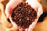 卡布奇诺咖啡的特点风味描述研磨刻度品种处理法口感介绍
