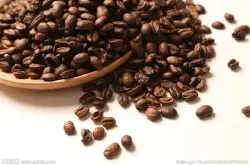 云南catimor高山有机种咖啡豆的风味描述口感处理法产地区介绍