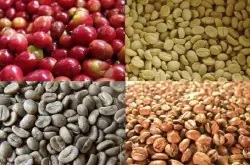 哥伦比亚娜玲珑咖啡豆的风味描述口感处理法产地区