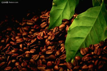 中国市场的巨大潜力受到了印尼咖啡企业的关注