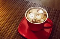 Bonavita滴漏式咖啡机中文说明书使用视频