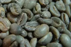 咖啡豆是咖啡果实的那一部分-咖啡豆怎么做咖啡