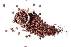西达摩烛芒咖啡豆的风味描述与耶加雪菲的区别介绍