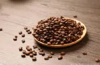 哥斯达黎加圣罗曼庄园是咖啡豆好喝吗有哪些风味描述和特征