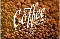 红波旁和黄波旁咖啡豆的风味描述口感研磨刻度产地区简介