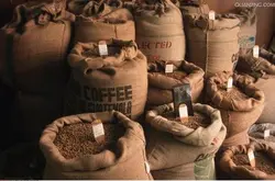 布隆迪精品咖啡豆风味在哪可以买到价格产地简介