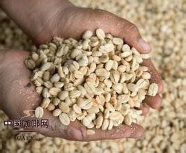 伊列塔庄园咖啡豆的口感特征价格风味产地简介