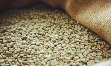云南铁皮卡和卡蒂姆小粒咖啡豆口感风味特点的区别