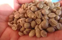哥伦比亚娜玲珑咖啡豆的研磨刻度风味描述口感