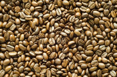 哥斯达黎加圣罗曼咖啡豆采用什么处理法