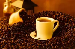 美洲豆哥斯达黎加叶尔莎罗咖啡的特点具体的口感详细简介