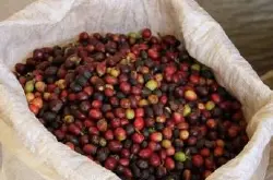 危地马拉茵赫特庄园咖啡豆品种风味口感产地区研磨度简介