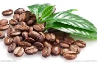 中国哪可以种植咖啡树-咖啡豆的种类及产地