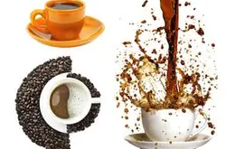 西达摩狮子王咖啡豆的风味口感特点处理法研磨刻度品种