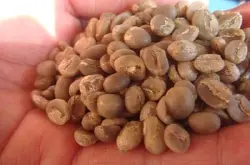 拉丁美洲咖啡豆特点种植区故事