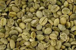 巴西摩吉安娜产区皇后庄园黄波旁咖啡豆的研磨刻度产地