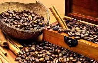 坦桑尼亚咖啡豆的特点种类与品种手冲磨粉的刻度要求